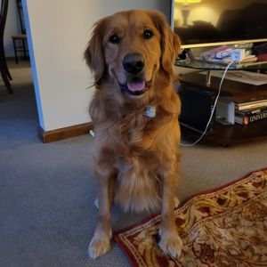 Meet your Posher, Stephen